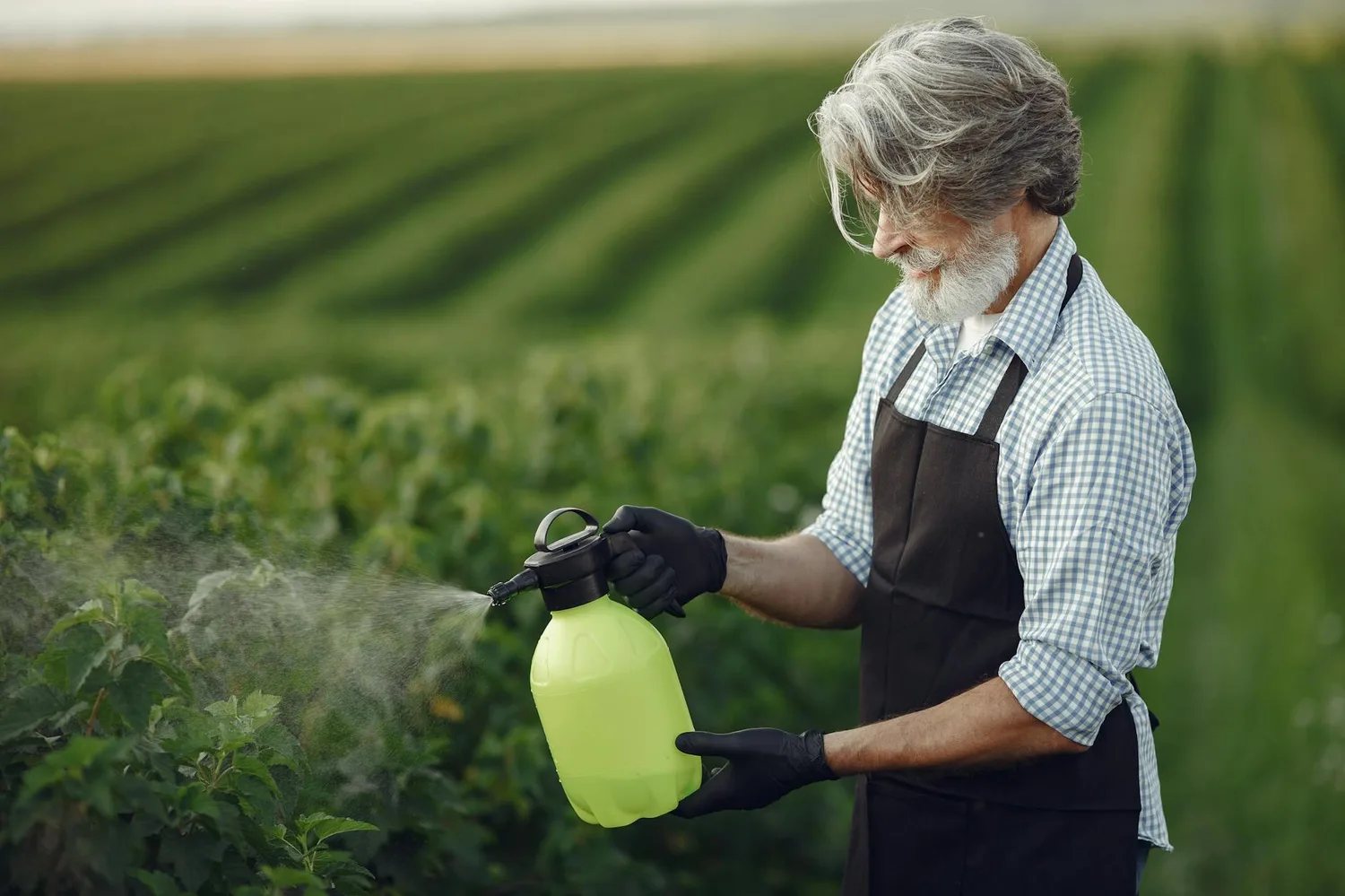 Jardin sans pesticides, les méthodes qui fonctionnent