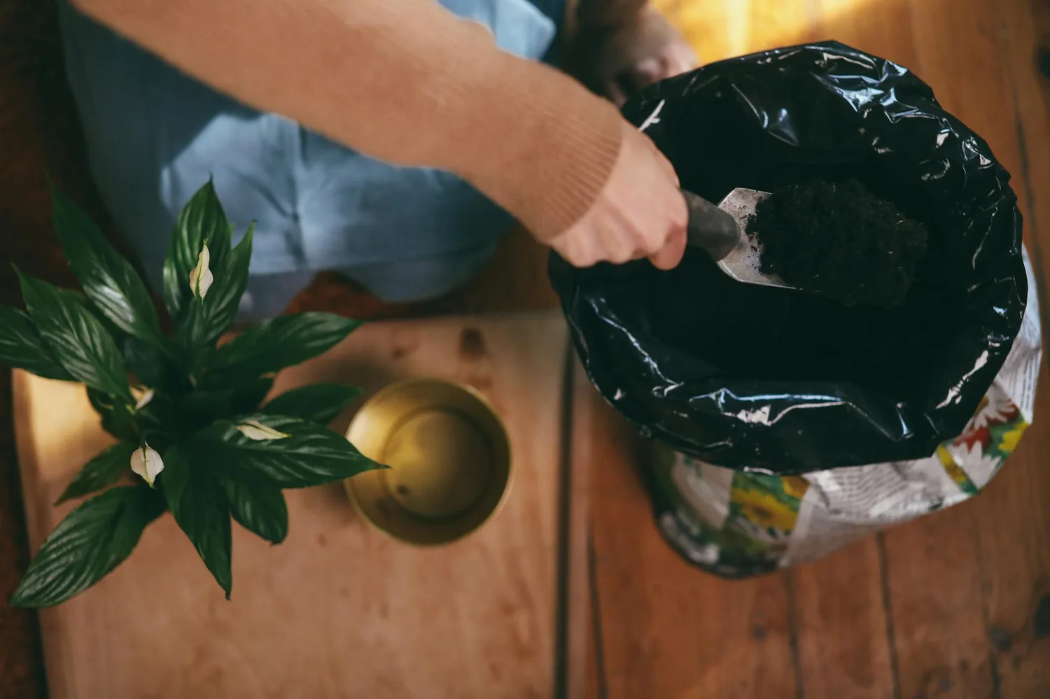Compostage maison : comment bien démarrer, le guide