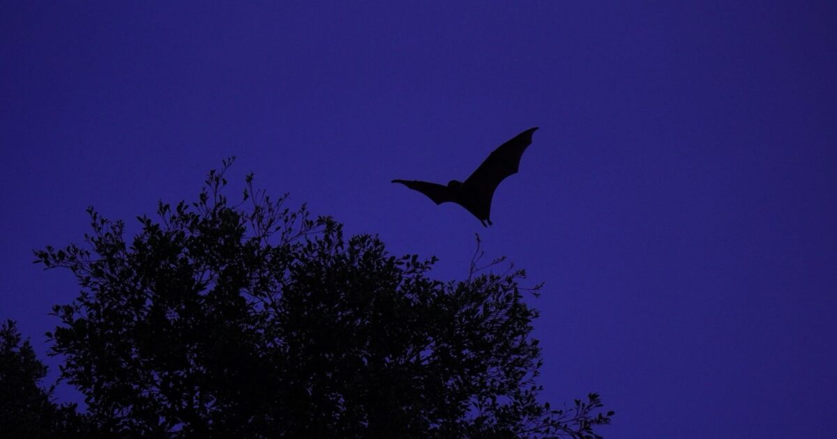 Biodiversité en Poitou-Charentes